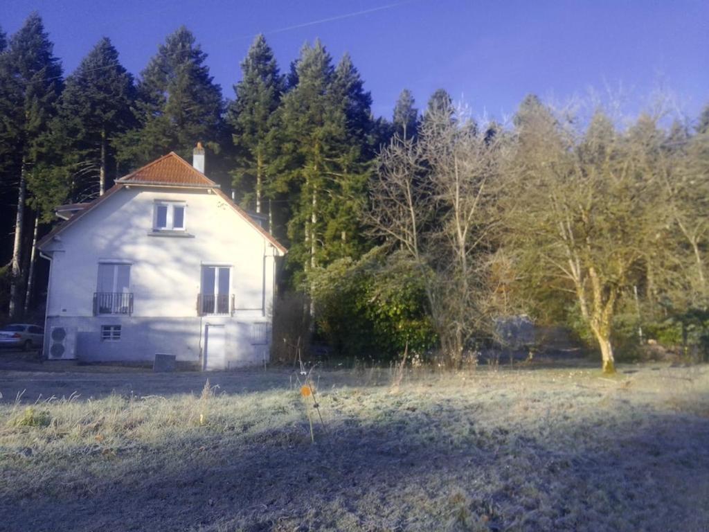 Vosges House 110 M2 In The Heart Of Nature L'Oree Du Bois Saint-Michel-sur-Meurthe Exterior foto