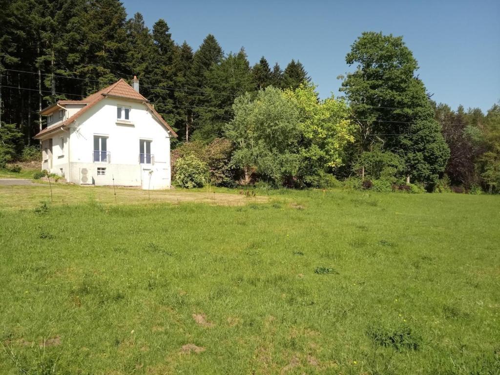 Vosges House 110 M2 In The Heart Of Nature L'Oree Du Bois Saint-Michel-sur-Meurthe Exterior foto