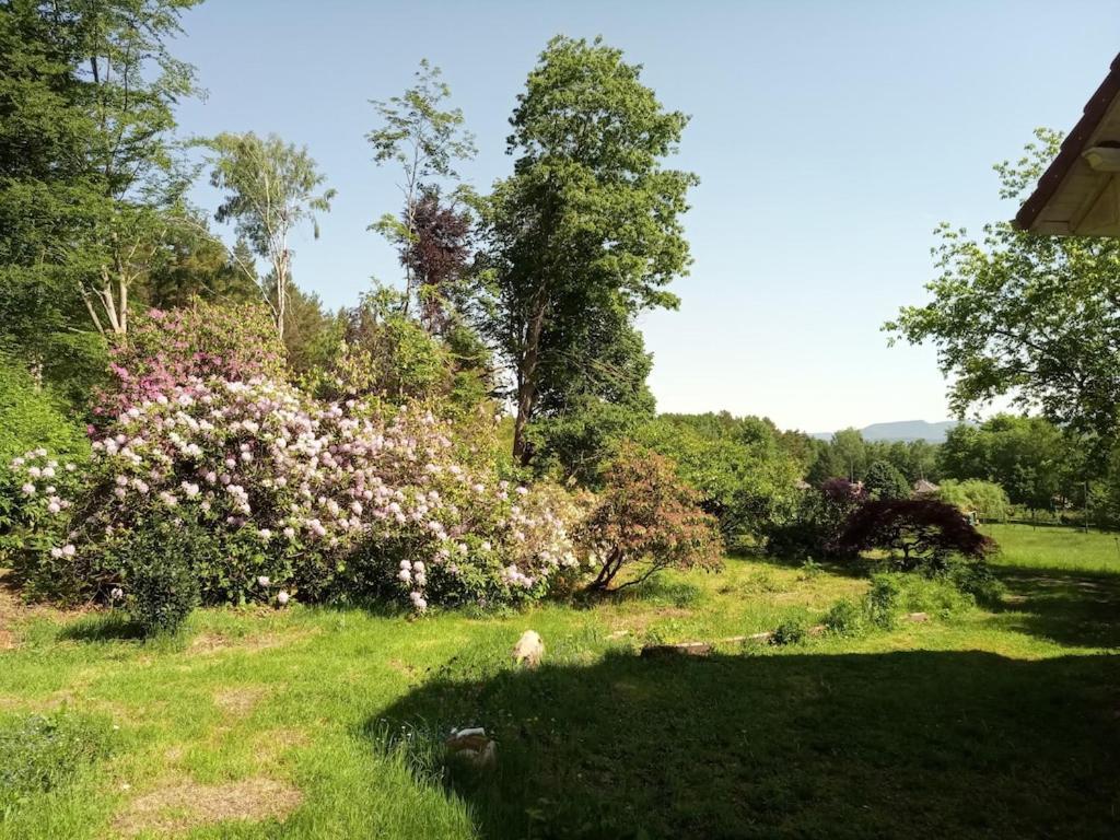 Vosges House 110 M2 In The Heart Of Nature L'Oree Du Bois Saint-Michel-sur-Meurthe Exterior foto