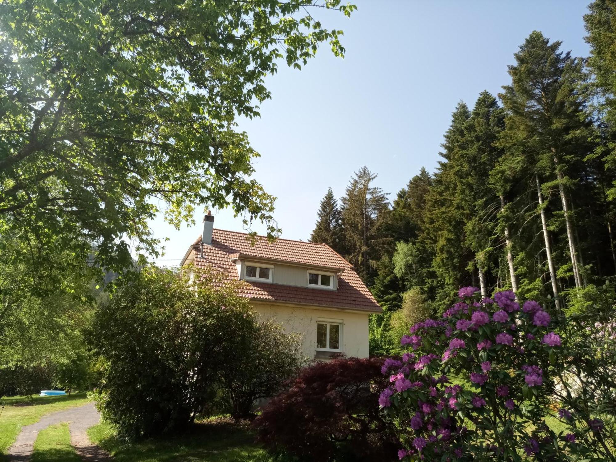 Vosges House 110 M2 In The Heart Of Nature L'Oree Du Bois Saint-Michel-sur-Meurthe Exterior foto